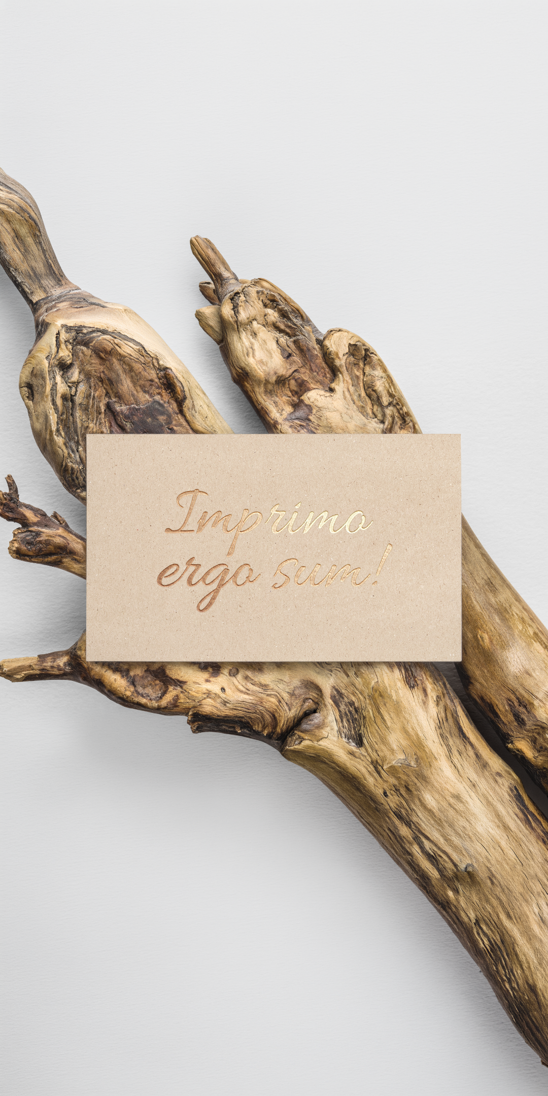 Gold Foil B-Card MockUp